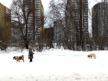микрорайон Град Московский / ***