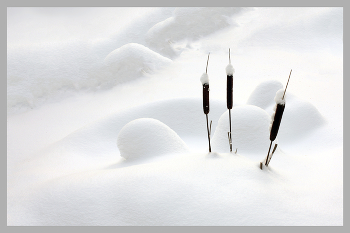 Три товарища / ***