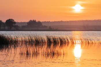 Доброе утро / ***