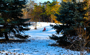 Зимняя забава / Крым. Пришла ,наконец, Зима.