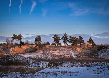 "Старые кедры на склоне. Солнечный день декабря"© / зимние мотивы