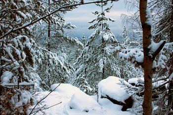 К Новому году готовы! / У озера Каменный Карьер, 29.12.25
