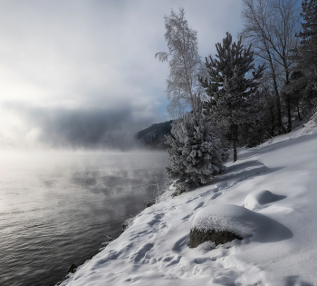 Морозный Енисей / Берег у парящей в мороз реки