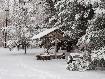 У леса на опушке... / ***