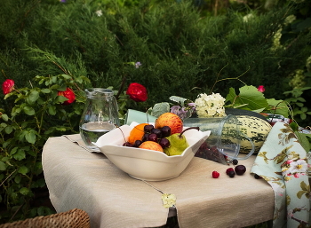 Ветрено к перемене погоды / НА ДАЧЕ. Вспоминая красивые моменты уходящего года. У разросшегося можжевельника - наше любимое место. Правда, кажется, вот-вот пойдёт дождь.