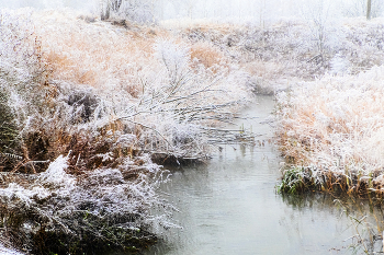 Запорошило / Сюжеты предзимья