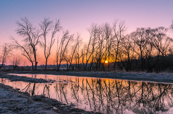 Отражение. / Утро, Ивановский луг, Малоярославец.