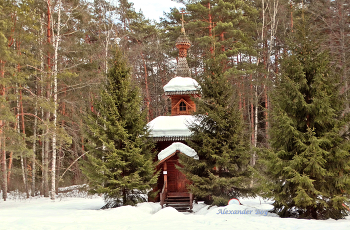 Предновогодняя / С наступающим Новым 2026 годом!
