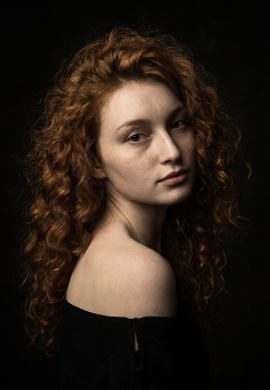 Вполобората / ***