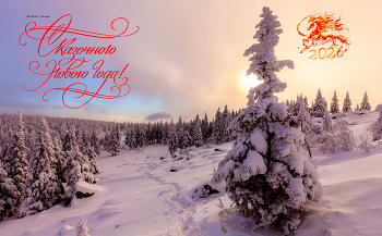 С наступающим Новым Годом! / ***