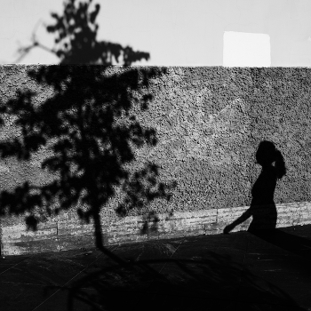 Елочка, зажгись! / ***