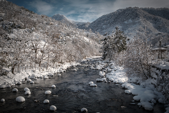 Mtirala Under Snow / Февральский снег в национальном парке Мтирала