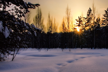 Декабрьский вечер. / Томская область.