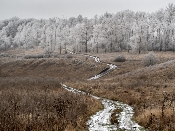 С Наступающим Новым годом!!! / /\/\/\/\