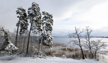 &nbsp; / Поздравляю всех с приближающимся к нам Новым Годом! Пусть он станет для вас удачным во всех смыслах и полным творческих успехов!