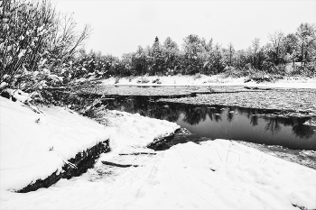 Жизнь вокруг / ***