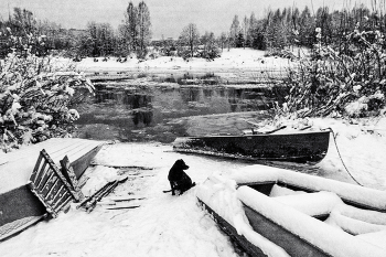 Пейзажизнь / ***