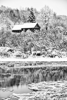 Жизнь вокруг / ***