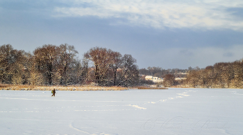 К Новогоднему столу рыбки хочется / Предновогоднее