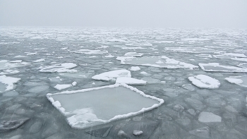 С новым годом! / ...