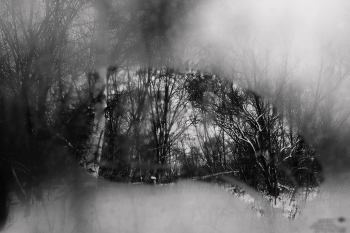 &nbsp; / декабрь