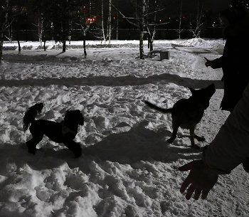 Театр теней / в Новогоднюю ночь