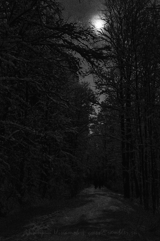 При свете Луны / ***