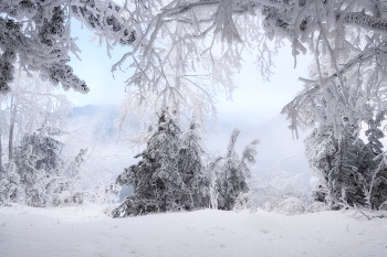 Сказка зимнего леса / Иней у парящей воды