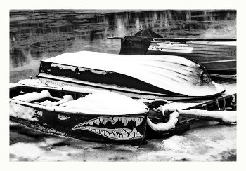 Зимний сон / ***