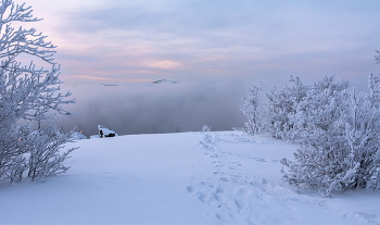 дальний берег за рекой тумана / мороз за 20, над заливом густой туман