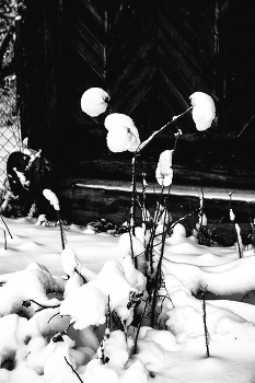 Пейзажизнь / ***