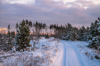 По утренней дороге. / ***