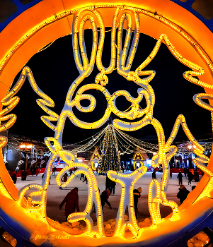 Ёлка на гостинке. / Холод большой.
Зима здорова́.
Но блузы
прилипли к потненьким.
Под блузой коммунисты.
Грузят дрова.
На трудовом субботнике.