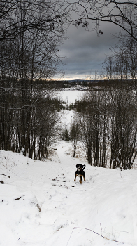 Предзимье / ***