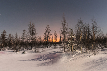 Ночь перед полнолунием / Накануне полнолуния в лесу было очень красиво. Долгожданное окошко в небе позволило полюбоваться звездами и яркой луной. Газовый факел украшал горизонт, будто закатное солнышко, а луна подсвечивала деревья, словно огромной прожектор. Падающие тени от деревьев притягивали взгляд, не хватало только обещанного северного сияния)