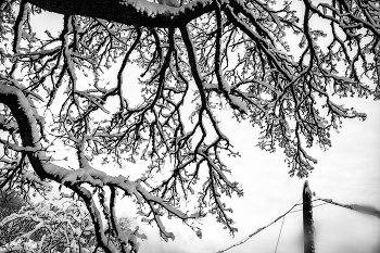 Жизнь вокруг / ***