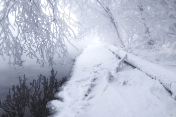 В морозном тумане / Туман на Енисее
