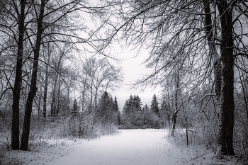 Прогулка / Прогулка