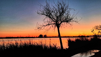 &nbsp; / Deltebre - capvespre al riu Ebre - Baix Ebre