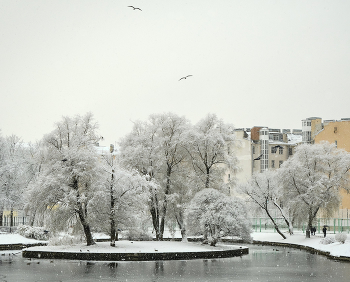 Юсуповский сад / ***