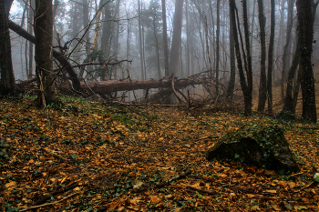 &nbsp; / Крым, Ялта, Штангеевская тропа
