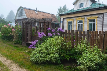 обаяние позднего лета... / утро, лето, туман, Подмосковье