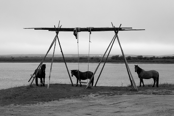 деревенская карусель / ....