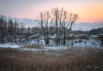 "Камыши в ледяной заводи. На исходе короткого дня"© / зимние мотивы