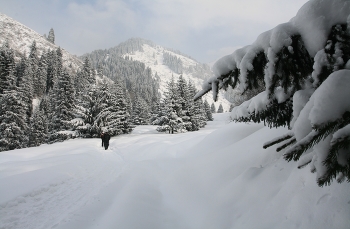 Двое вышли из леса... / ***