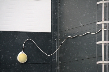 не скажу / чего гляжу