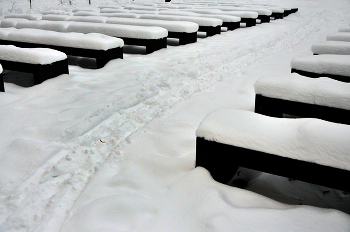 &nbsp; / В городском парке...