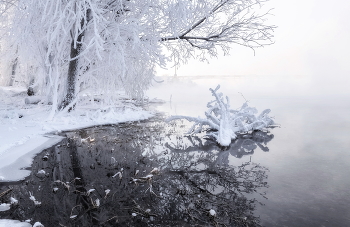 Снежный цветок / Сибирская зима
