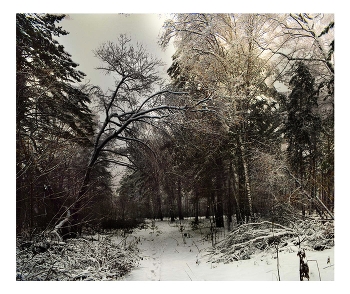 Первый снег / Ноябрь 2025, Новосибирск