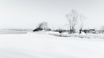 Зимний берег Енисея. / ***